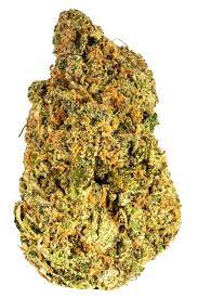 Buy stardawg strain online