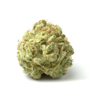 Buy super lemon haze strain