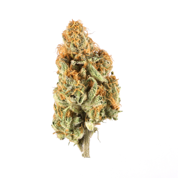 Buy Banana Cream Cake Strain Online