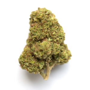 Buy Lemon Sativa Strain 