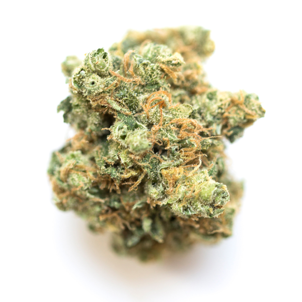 Buy Santa Sativa strain