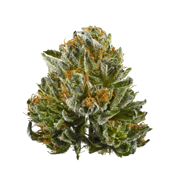 Order Bubba kush strain