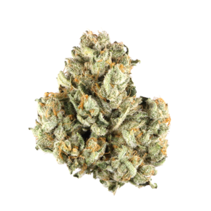 Order Old Mother Sativa Strain