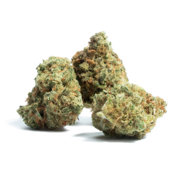 Buy Lemon Sorbet #1 Strain Online