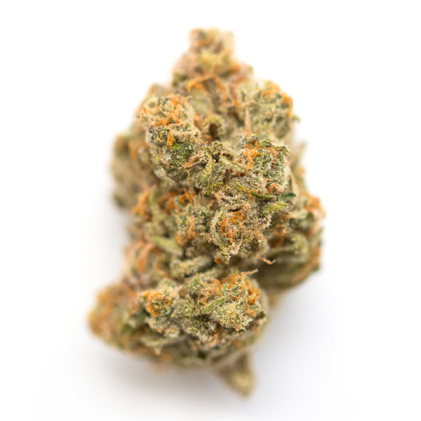 Buy Nightmare OG Strain Online