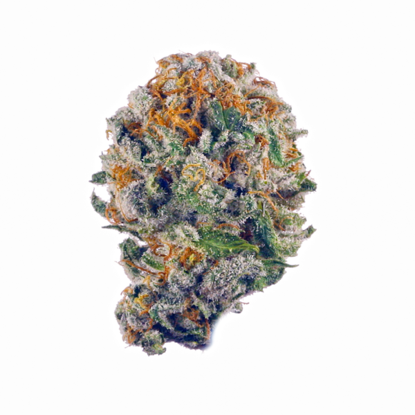 Order Blueberry Muffin Strain Online