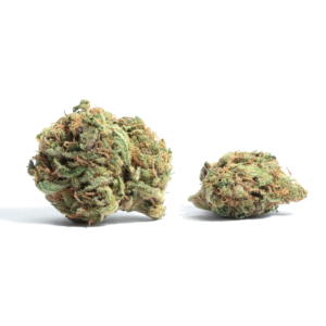 Order Snoop Dogg OG Kush Online