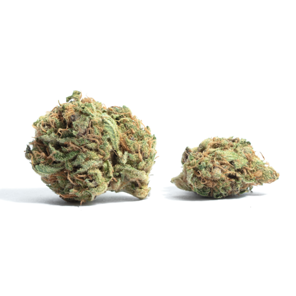 Order Snoop Dogg OG Kush Online