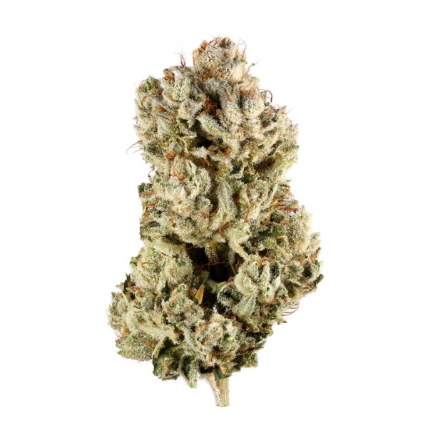 BUY GG4 Strain Online