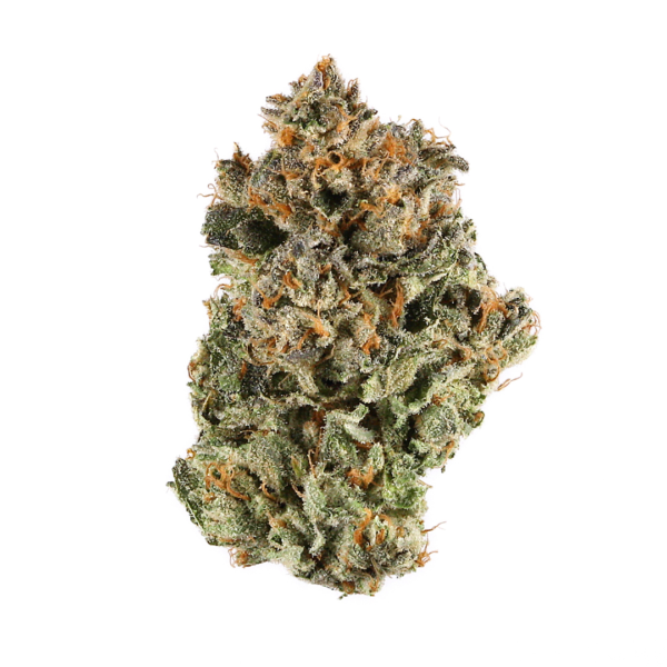 Buy Dark Star strain