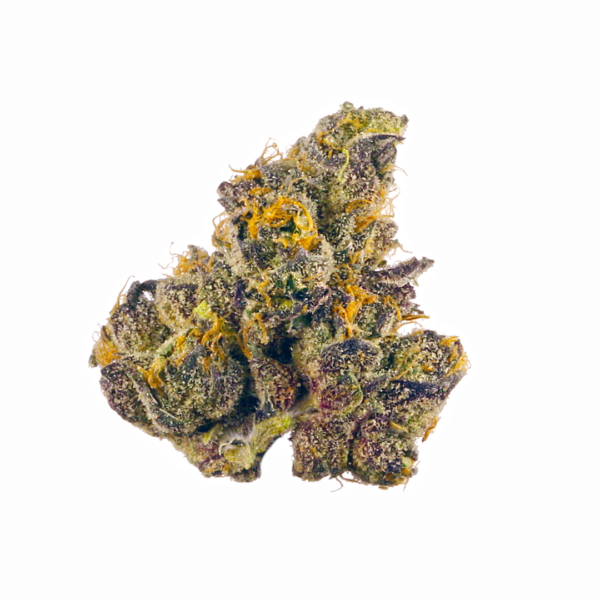 Buy Purple Champagne Strain Online In the Uk