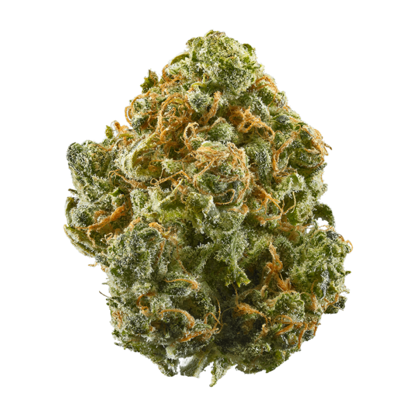 Buy Stardawg Guava Strain Online in UK