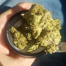 Where can i order weed in Sydney Australia