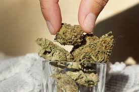 Where can i order weed in Porto Portugal